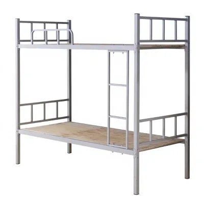 Modern Minimalist Double Layered Iron Frame, Adult Removable, Single Person or Garage Storage