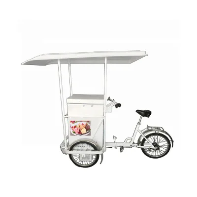 108L Steel Open Cargo Rickshaw Freezer Tricycle with Ice Packs Inside Used Solar