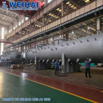 Stainless Steel Packing Washing Tower, Ammonia Gas Washing and Purification Tower for Chemical Plants