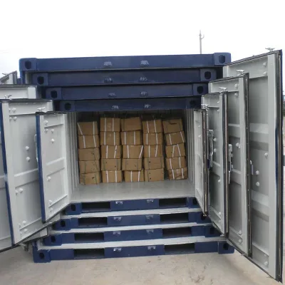 DFC New Brand Dry Cargo Wooden Floor Shipping Container Sales
