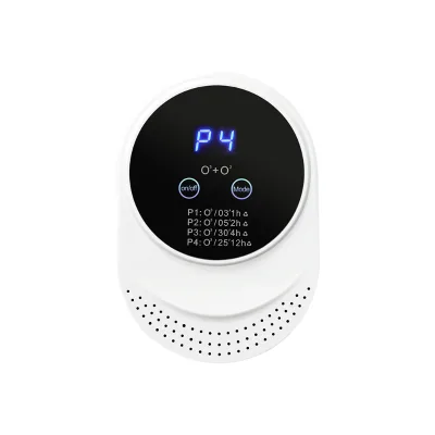Manufacturer Portable Ozone Sterilizer and Deodorize for Air Purifier Multifunctional Ozone Generator With Touch Screen Timer
