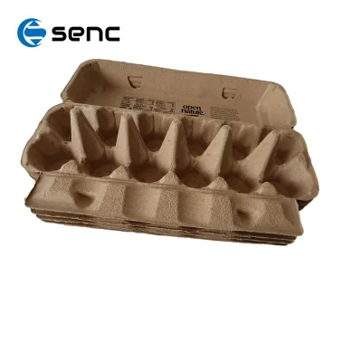 Molded Paper Pulp Egg Tray Biodegradable Disposable Container with Various Sizes for Supermarket Display and Home Kitchen Use