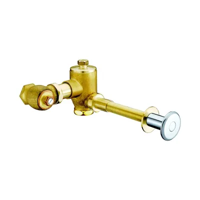 Long Handle Wall Mounted Self-closing Concealed Toilet Flush Valve
