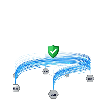 Network Security: Endpoint Detection and Response (EDR)