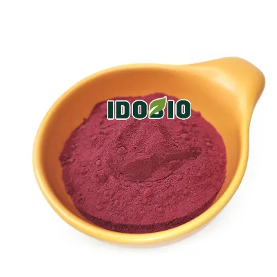 High Quality Beetroot Extract Powder  Beet Root Powder Beta Vulgaris