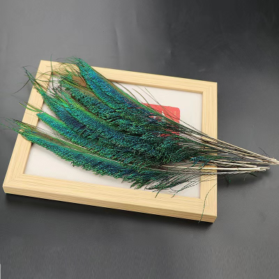 Decoration Peacock Sword Feathers for DIY Craft Party
