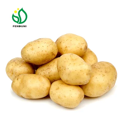 Export Quality Fresh Potato From China Grade a 25 Kg/BAG COMMON Cultivation with Cheap Price From Chinese