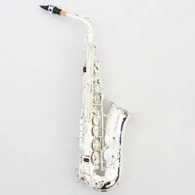 OEM Professional Level Alto Saxophone Eb Key High Grade Pads Springs with Silver Plated Brass Body Engrave Design