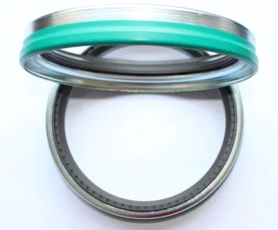 Oil Seal