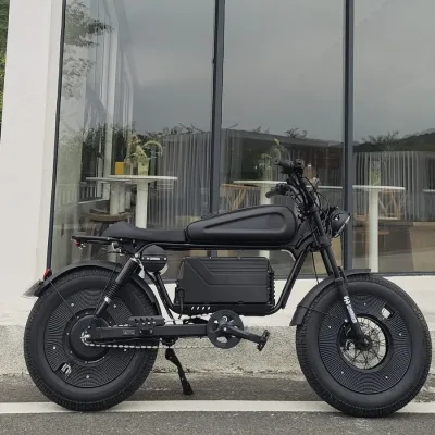 1500W Motor Aluminum Alloy Fat Tire Electric Bikes Fast Shipping 48V 30AH 60AH Lithium Battery EBIKE Adults Unisex Bike Steel