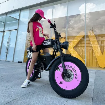 Super Adult Power-Assisted Electric Bicycle New National Standard Step-by-Step 48v Battery Voltage Aluminum Fork Alloy Men Women