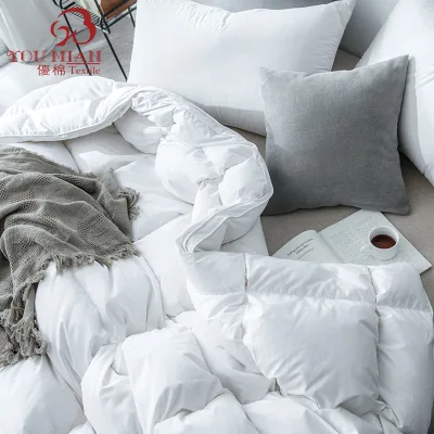 20021 Manufacture Hotel 100% Cotton White Down Comforter/microfiber Quilt / Polyester Duvet