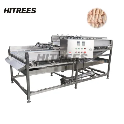 Advanced Flip Belt Spray Ice Glazing Machine for Delicate Products with Gentle Handling