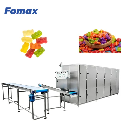 Fully Automatic Candy Drying Production Line, Food Grade Stainless Steel Continuous Dryer for Gummy & Hard Candy