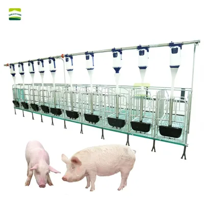 Eco-Friendly Pig Farm Gear Galvanized Sow Gestation Pen for Pregnant Pig Housing