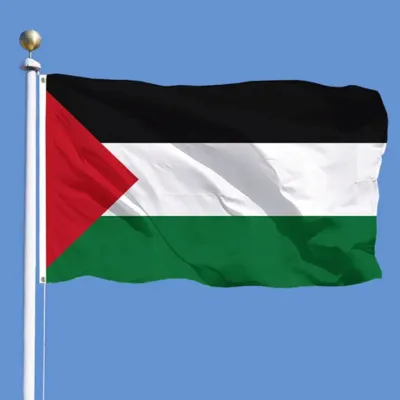 Ready to Ship Country Palestine Flag 3*5FT Polyester 90*150cm Digital Printing Hang Outdoor Flag with Two Metal Buckle.