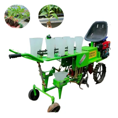 Hot Sale Double Row Maize Cabbage Bean Spinach Seeding Transplant Watermelon Sunflower Seeds Seeding Planter Machine