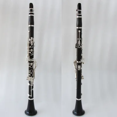 Professional Ebony Body Silver Plated Clarinet Adjustable Thumb Rest 17 Keys Tone Focustyle FCL-500S Leather Cover Wooden Box