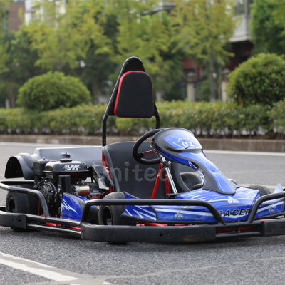 Outdoor Cheap Racing Go Kart Adults Teens Battery Powered Electric Go Kart