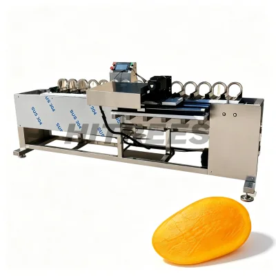 Strong Structure Commercial Mango Core Extraction Equipment for Fruit Factory With Efficient Output