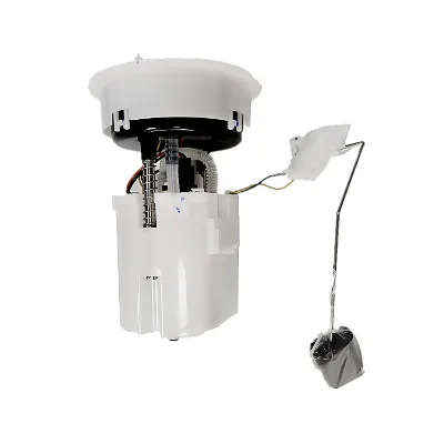 High Performance Car Engine Parts Fuel Pump Assembly C2031335X