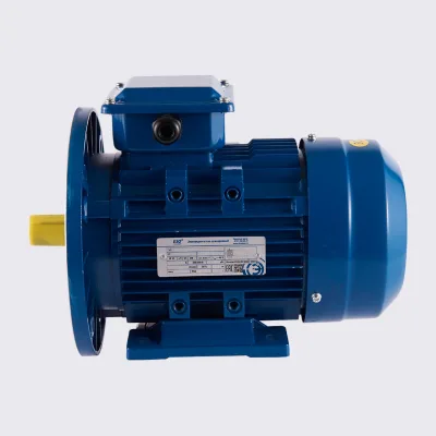 Russia Standard ANP160S4 Electric Asynchronous Motor Three Phase AC Power for Industrial Use