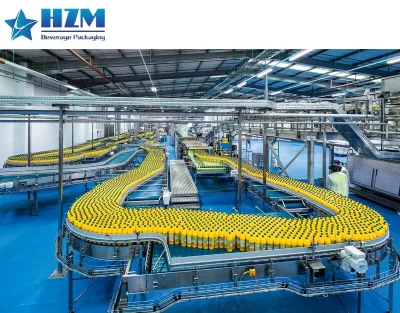 3000 BPH Small Business Scale Automatic Juice Filling Equipment Pomegranate Grape Juice Plant Hot Filling Line