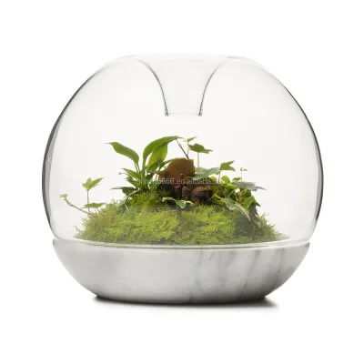 Terrarium Jar Mouthblown Geometric Borosilicate Glass Plant Terrarium Glass Vase
