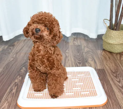 Wholesale Plastic Doggie Indoor Pet Potty Tray Park Corner Dog Toilet Dog Wee Pee Pads Tray Toilet for Dog