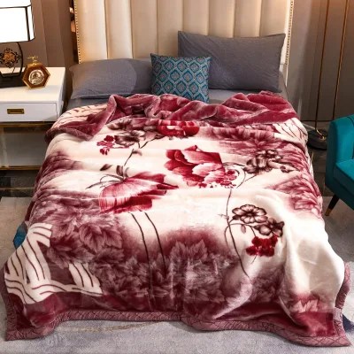 Factory Wholesale Double Layer Fleece Bed Throw Blanket Cozy Thick Polar Warm Sherpa Blankets for Bed