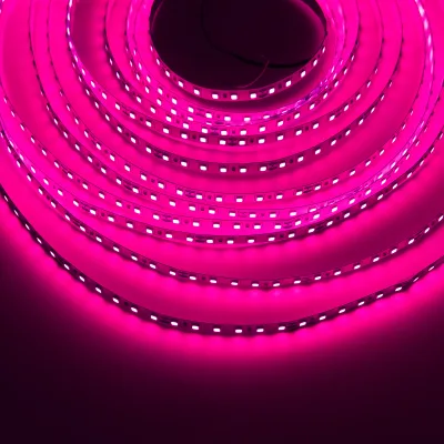 12V/24V SMD Flexible Strip Light 2835 120 Lamps pink Light Adapted to the bar KTV Background Light-emitting
