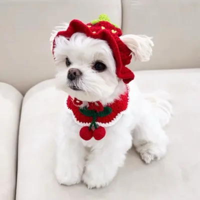 Crochet Pet Hat for Headwear Cute Bare Ears Hand-knitted 100% Cotton Winter  Animal Style Dress-up Hat