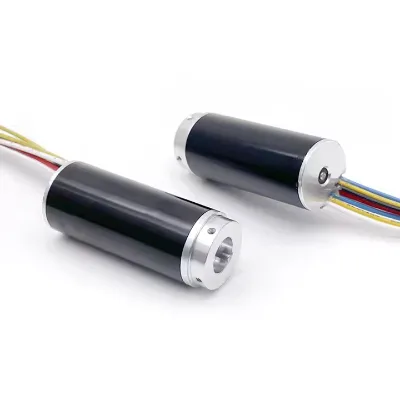 Wholesale High Quality 16*52mm BLDC Coreless Motor High Torque Brushless Motor for Fan 12V-48V CE ROHS Certified
