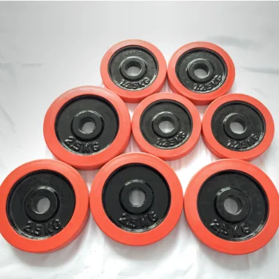 Rubber Protection for Black Paint Cast Iron Weight Plate