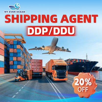 Optimized Logistics Services Shipping Agent Freight Forwarder Express Delivery Dropshiping Support for Europe Global Ser