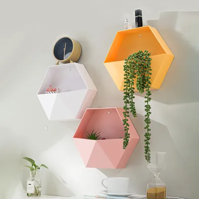 New Product Ideas Plastic Hexagonal Hanging Shelf Modern Custom Colour Decore Sundry Storage Holders Crafts Flower Pots