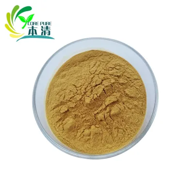 High Quality Factory Direct Sale 100% Natural Mushroom Extract Powder Food Grade Shiitake Mushroom Extract Powder