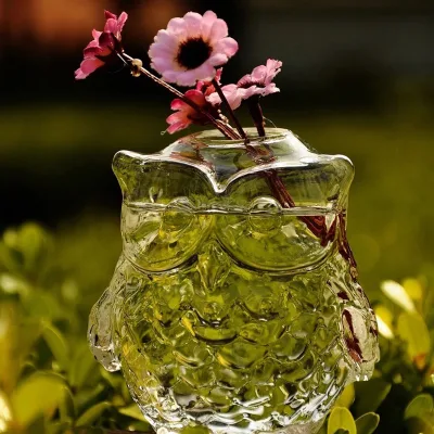 56H European Creative Owl Crystal Glass Vase Hydroponic Flower Vessel Home Decoration Crafts