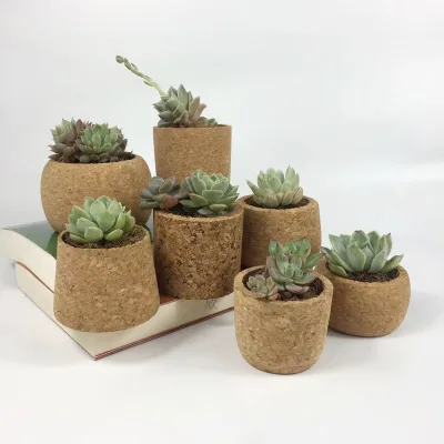 Biodegradable Green Life Planter Pulp Fiber Garden Seeding Pot Greenhouse Garden Seed Starter Tray Seed Starter Pots