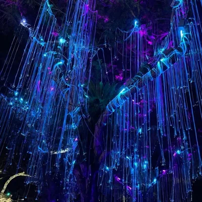 RSPOF PMMA Fiber Optic Tree IP65 Waterproof Outdoor Starry Sky LED Color-Changing Light with App/Remote Control