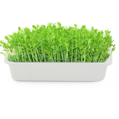 Ceramic Vegetable Grow Kit Seed Sprouter Seed Starter Plant Tray Microgreens Growing Tray with Drain Holes Epoxy Coated