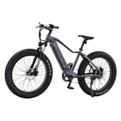 High Performance Long Range Electric Bike 48V 750W Fat Ebike Electric Dirt Bike for Wholesale