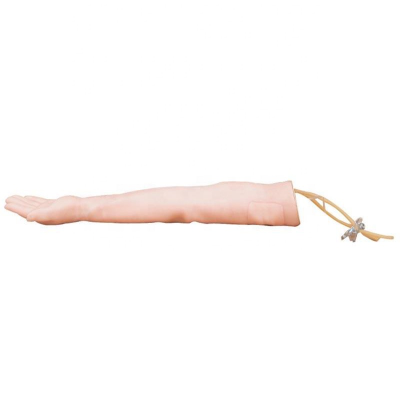 Medical Injectable Training Arm Model (without Suit) High Quality Medical Model