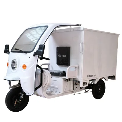 OEM Adult Transport Express Cargo Delivery Electric Tricycle Transport Courier DHL EMS 3 Wheel Motorcycle with Closed Cargo Box