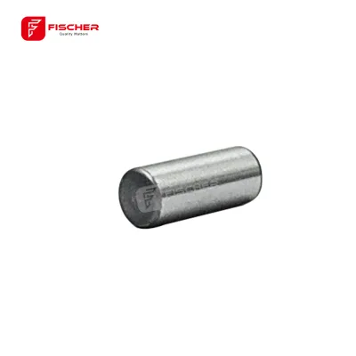 High-inquiry Products Bearing Pin 2463100002  for BOSCH Injection VE PUMP