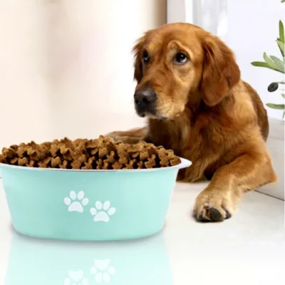 Stainless Steel Travel Pet Bowl & Water Bottle Durable Food Safe Rust Proof Easy to Clean Factory Direct