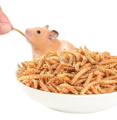 High Quality Fully Stocked Microwave Dried Mealworms Fish and Bird Snack Treats for Small Animals