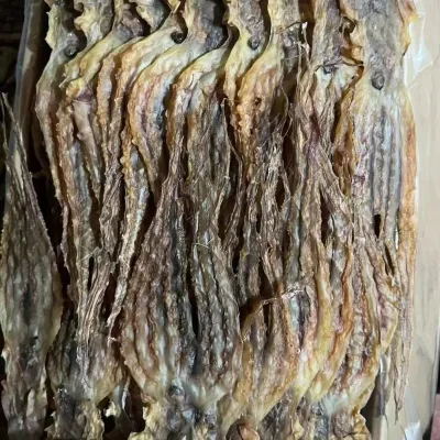 Dried Octopus Seafood Factory Price Hot Sale Dried Octopus Octopodidae