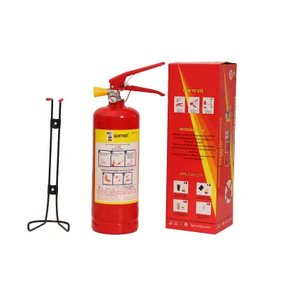 CE Approved Car DCP Fire Extinguisher with Stainless Steel Thread Pressure Gauge for Fire Extinguisher