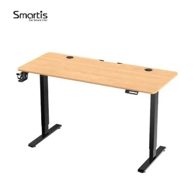 Height Adjustable Electric Standing Desk Sit Stand up Desk Computer Home Office Desk for Work Office Home